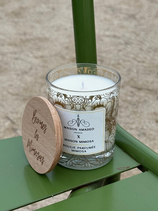 Amadeo x Mimosa Scented Candle: MAISON MIMOSA