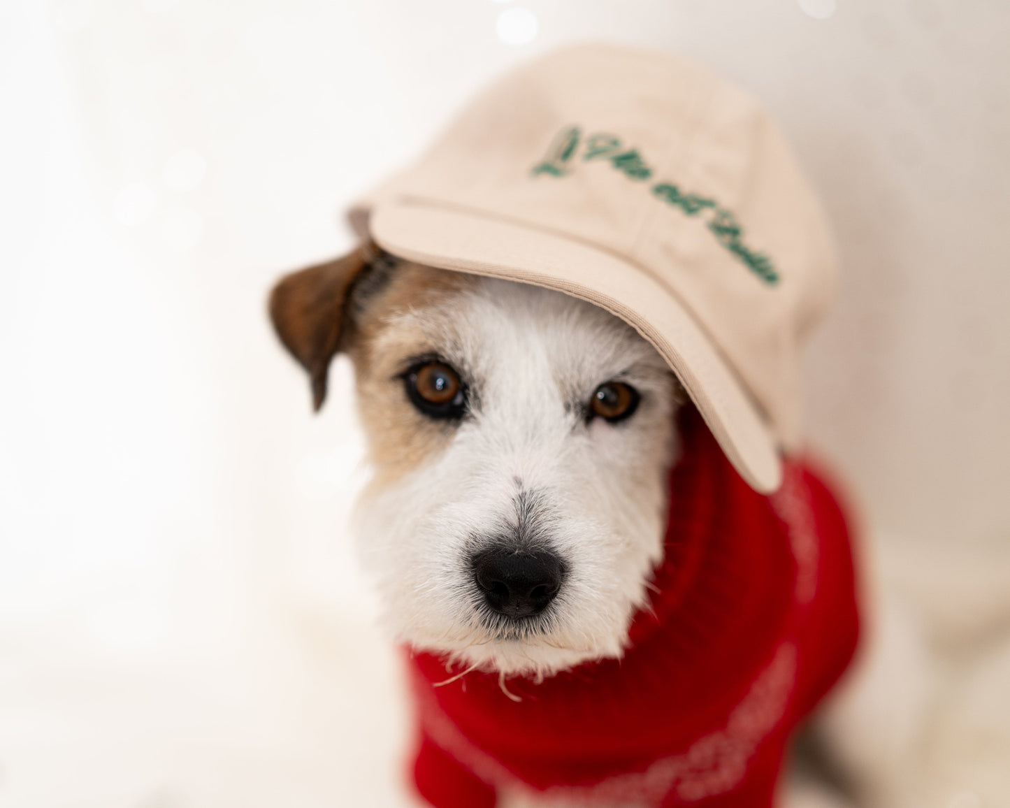 SensCaché La Vie Est Belle – Édition Signature : 10% des achats pour La Ligue Contre Cancer